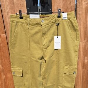 Judy Blue Women's Matcha Green  Cargo Pants Sz 13